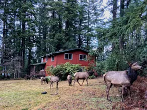 Naked Elk Lodge | 4 Bdrms, Hot Tub, Projector TV - Image 2