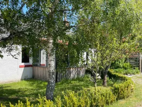 One bed cosy Highland cottage near Beauly - Image 5