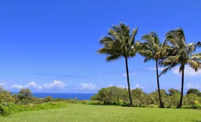 North Shore Ocean View Cottage - Image 4