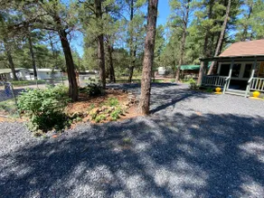 Quiet Retreat | Spacious Land - Image 5