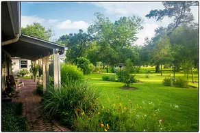 Country House in the City - Image 2