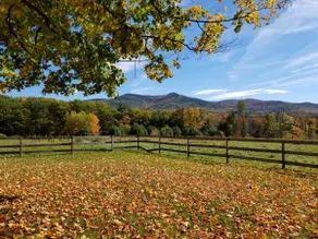 The Bear Camp. Incredible Foliage Views! - Image 2
