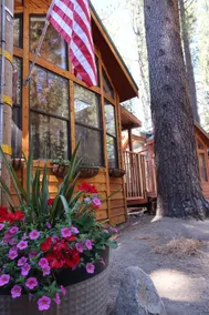 Sugar Pine Cabin! - Image 2