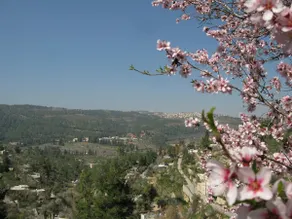 View Of The Valley Guest House - Image 3