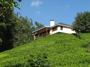 Kimakia Tea Cottages 1 , Aberdare Mountain Range - Image 3