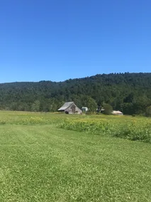 Browns Creek Getaway - Image 4