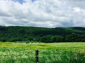 100 Acres • Horses • Fish Pond - Image 5