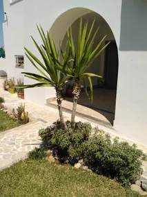 A peaceful oasis a few steps from the sea... - Image 5
