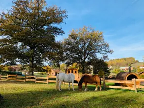 MY CARAVAN UNDER THE TREES ”Au Naturel” - Image 5