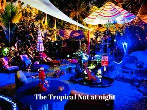 Flamingo🦩1/2M Walk to Downtown #TheTropicalNut☀️🦩⛱🥳 - Image 3
