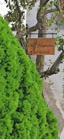 Magnolia Traditional Stone House in Vamvakou - Image 3