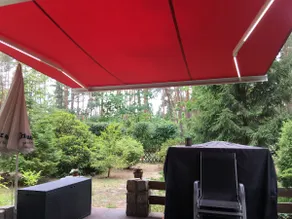 Vacation home forest and lake idyll near bathing lakes, Spreewald and Berlin - Image 5