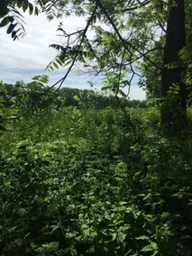 Great Berkshire Getaway ! - Image 3