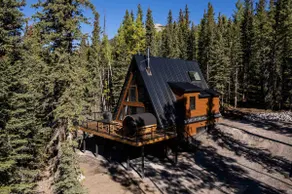 Modern Rustic A-Frame Cabin with Barrel Sauna - Image 2