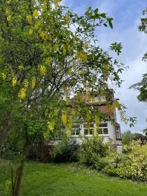 Villa 1907 Wissembourg - Image 2