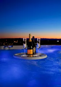 Parrett Mtn Estate: Hot Tub, Sauna, Cold Plunge, Fire Pit, Vine & Valley Views - Image 3