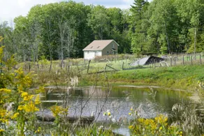 Country Air - Unplug and Getaway - Image 2