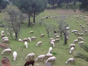 El Alamillo Rural Accommodation - Image 2