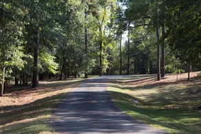 McCullin on Parks a secluded 20 acres - Image 3