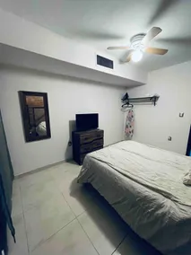 Great apartment near IMSS 16 - Apartment 2 - Image 4
