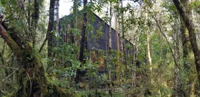 A hideaway in the woods - Image 2
