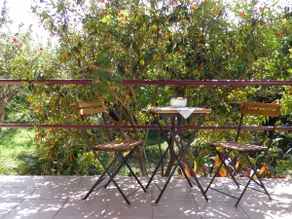 ”Kumquat Villa” Kalamata Beach - Image 5