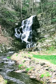 Ridgetop 2 Br Cabin- Views, 130acre forest & falls - Image 5