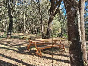 Private Nature Getaway - Forest Cabin - Image 5