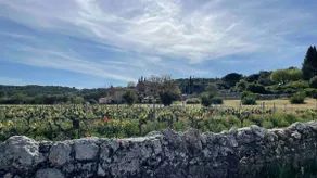 Cotignac, comfortable home surrounded by vineyards. - Image 3