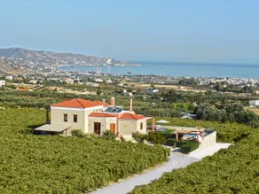 Cretan Vineyard Hill Villa 2 - Image 5