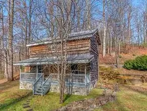Saluda dream cabin: Waterfalls Nature Pet friendly - Image 4