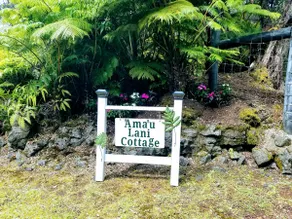 Ama'u Lani Cottage minutes from Volcano Village & Hawaii Volcanoes National Park - Image 3