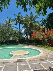Fully furnished apartment on Alcobaça beach - Image 4