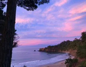 Modern Cozy Coastal Cottage Short Walk to Beach - Image 4