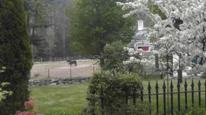 Et land, der føles meget tæt på Dock Square i Kennebunkport - Hunde Velkommen! - Image 4
