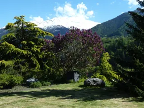 Apartment Close to Le Chable-Verbier ski lift - Image 4