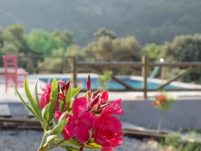 Private villa and pool near beach. - Image 3