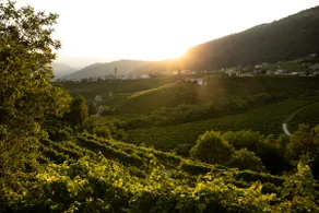 Peaceful oasis in the UNESCO site of Prosecco DOCG - Image 4