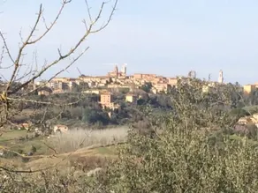 View of Siena - Image 4