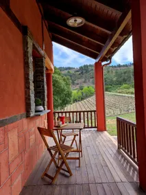 A Porteliña Casa Rural, entre viñedos y castaños - Image 3