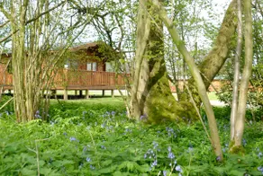 Luxury 3 Bedroom, Scandinavian Lodge with HOT TUB - Image 2