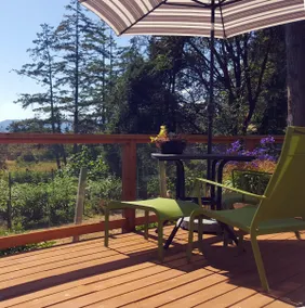 Mimosa Bed & Breakfast Suite -Mtn & Meadow View - Image 3
