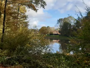 L'Orée du Bois du Parc & Château de Manou - Image 4
