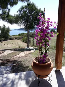 Casa lagonisi, Sithonia - Image 5