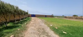 Farmhouse with pool - Image 5