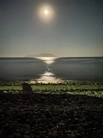 Sea Side View - Image 5