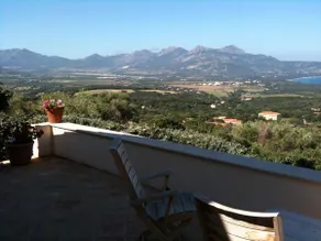 The Almond Trees - Image 2