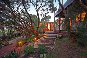 Tranquil treetop retreat - coastal views - Image 2