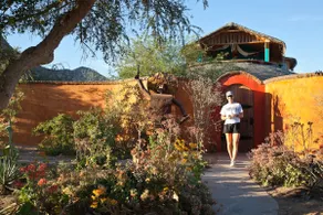 The Charm of Cabo Pulmo 3/3 - Image 2