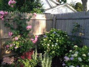 Vacation at the Beach: Entire Home - Image 3